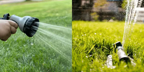 Arrosage Goutte-à-Goutte vs Arrosage Automatique Lequel est le Plus Efficace