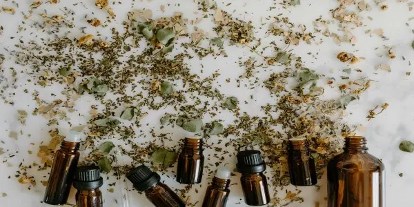 Comment Créer un Jardin de Plantes Médicinales Conseils et Recettes