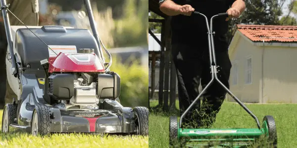 Tondeuse manuelle vs électrique laquelle choisir pour un jardin parfait