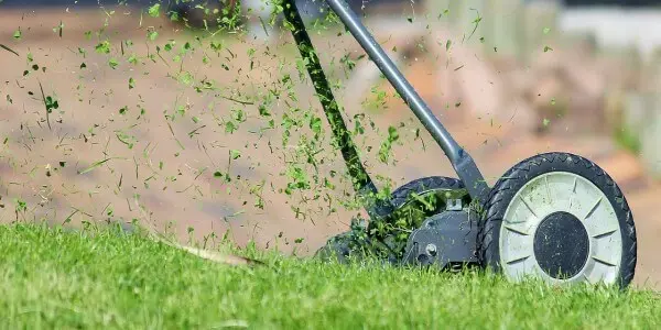 Scarification de pelouse en cours pour éliminer le feutre et la mousse