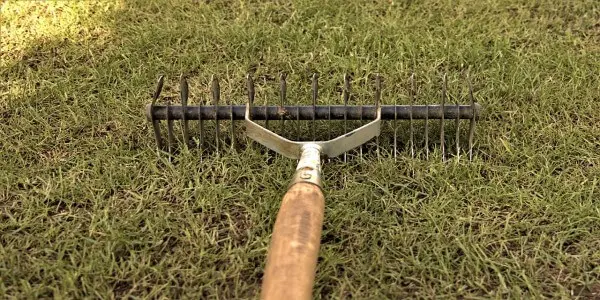 hand-scarifiers-Scarificateur