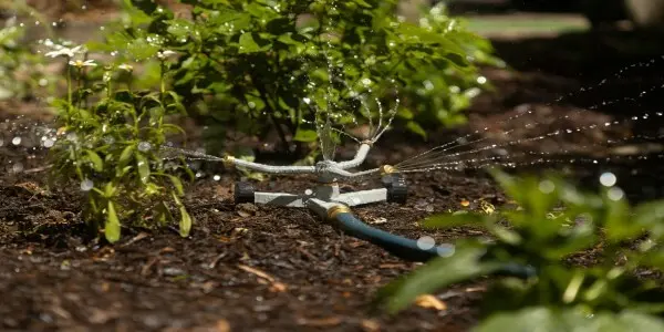 jardinage arrosage solaire